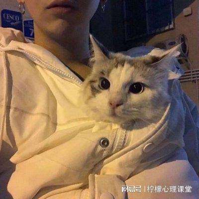隋唐无双无限元宝银币版下载